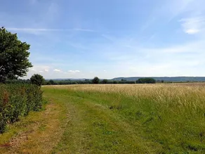 The Thatched Barn - Image 2
