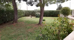 Villa Emilia - Image 4