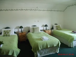 The Golden Lion Hotel - Image 4