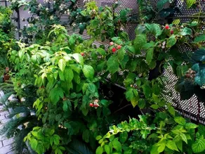 B&B Luca - Image 5