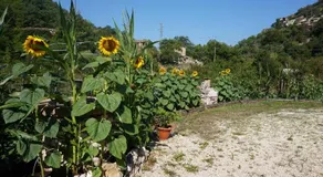 La Locanda del Frullo - Image 3