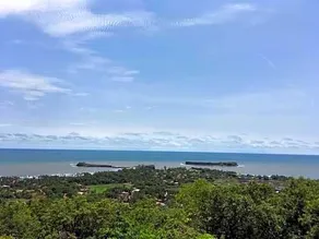 Exotica Suvarna Samudra - Image 4