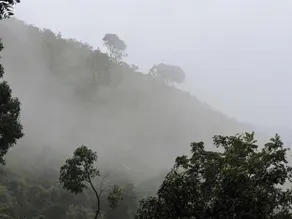 Suraksha Homestay - Image 5
