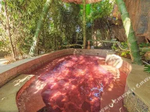 ROYAL MANOR HOT SPRING RESORT - Image 5