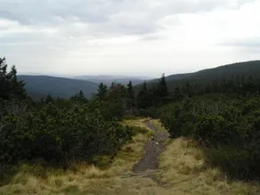 Chalupa Nature - Image 5