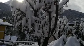 Il Nido B&B - Image 2