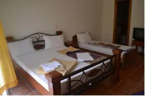 Guesthouse Orlovic - Image 5