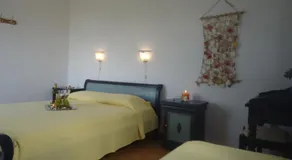 Agnantema - Image 2