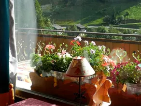 Chalet-Hôtel du Borderan - Image 4
