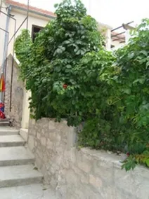 Apartment Luca - Image 5