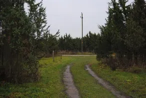 Tika Farmstay - Image 3