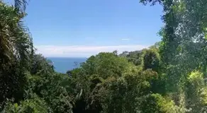 Manuel Antonio Park House - Image 5