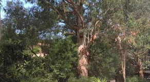 Villa Trou Aux Biches - Image 3