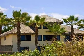 Las Palmas Tropicales - Image 2