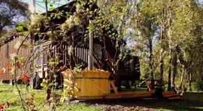 Fern Lodge - Image 3