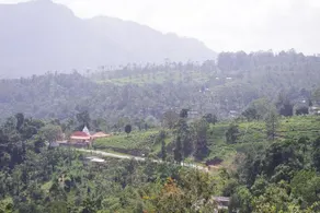 Tearamb Holiday Bungalow - Image 3