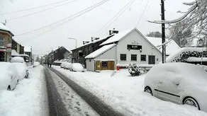 The Bear - Image 4