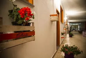 B&B Matinèe - Image 4