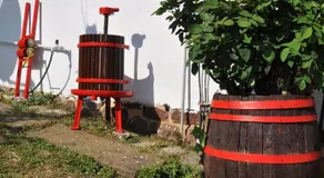 Paloznak Retrospektiv - Image 2