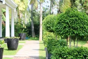 AdenLanka Villa - Image 2
