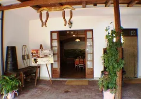 Azienda Agrituristica Costa dei Tigli - Image 3