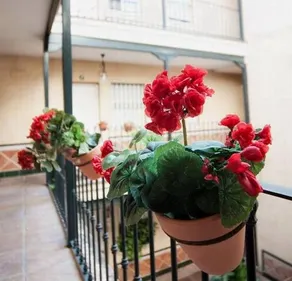 HSH Suites Corrala Triana - Image 2