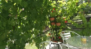 Apartman Lukic - Image 4