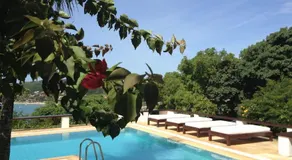 Vila Flores - Image 2