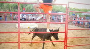 Camping Le Camarguais - Image 4