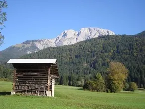 Bauernhof Monegger - Image 5