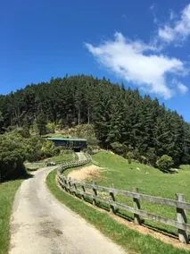 Essons Valley Farmstay - Image 4