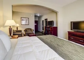 Comfort Inn Broussard - Image 4