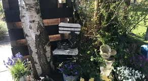 C’est la vie - Image 2
