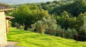 Podere Umbro - Image 3