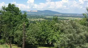 Panorama Vendeghaz - Image 2