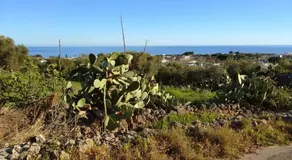 Vigna Vecchia - Image 5
