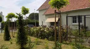 Villa Mooi Maasland - Image 4