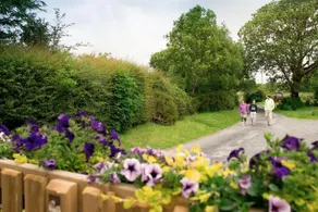 Burren Glamping - Image 5
