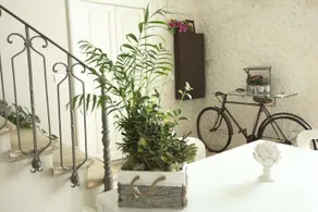 B&B San Nicandro - Image 4