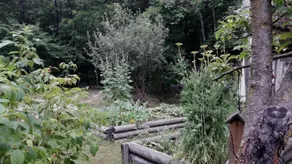 Casa di Creatività Natura Salute - Image 5