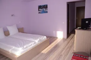 Pensiunea Laleaua Pestrita - Image 3