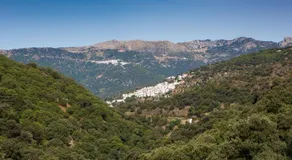 La marikilla - Image 4