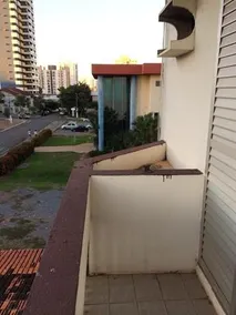 BERVELLY HILLS CUIABá - Image 3