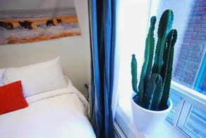 Hipster Bachelor Pads - Image 3