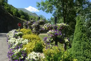 Camping Serra - Image 3