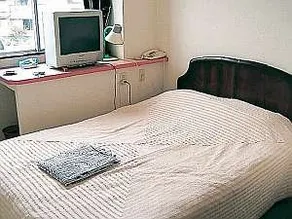 YAIZU GREEN HOTEL - Image 2