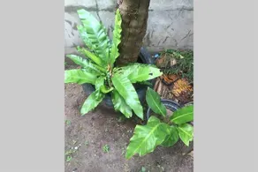 Wattana home stay - Image 1
