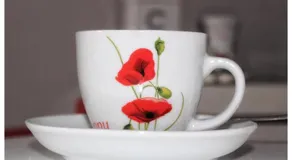 Flanders Fields - Image 2