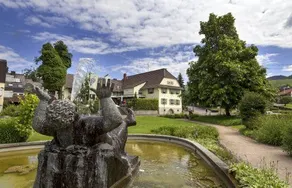 Traube - Image 2