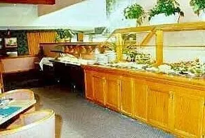 Lake Hamilton Resort - Image 4